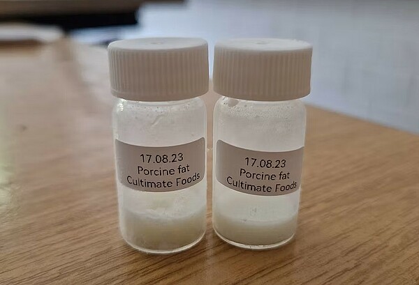 Cultimate offers an alternative fat ingredient that brings the authentic meaty taste and texture to plant-based meat products – © Cultimate Foods