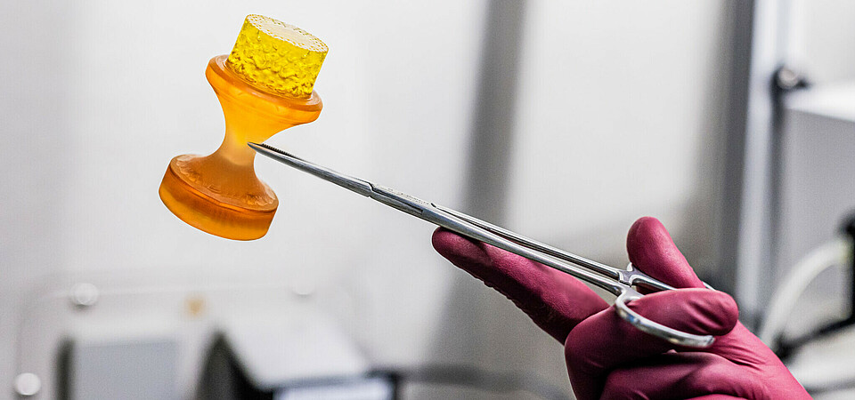 Freshly 3D-bioprinted tissue implant being retrieved from the biofabrication system.