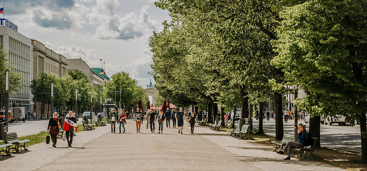 Wide avenues lined with trees – Berlin is green in more ways than one The avenue Unter den Linden between Alexanderplatz and the Brandenburg Gate