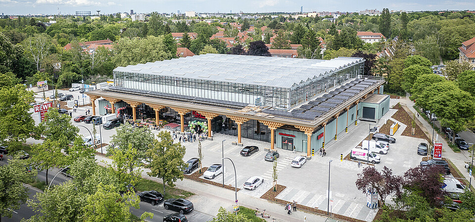 REWE Green Framing REWE Green Framing