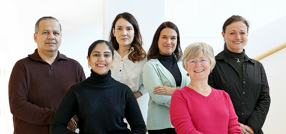 The team of CLIC The CLIC team