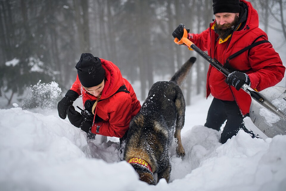 Global Initiative on Resilience to Natural Hazards Through AI Solutions Global Initiative on Resilience to Natural Hazards Through AI Solutions