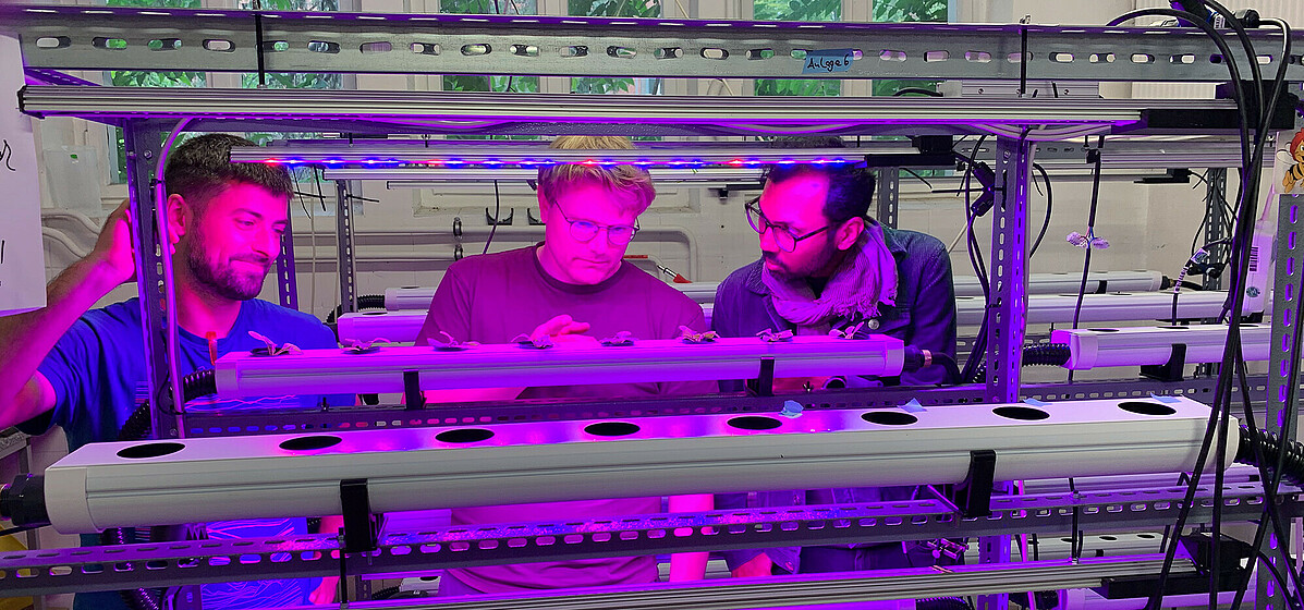 Modern day farmers – Crocus Labs founders Prashanth Makaram and Tim Schäfer studying crops. Vertical farms increase efficiency by growing crops in a controlled environment which rely on artificial light.